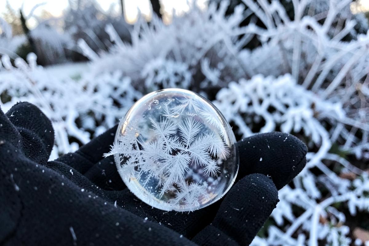 Frozen bubble hunt
