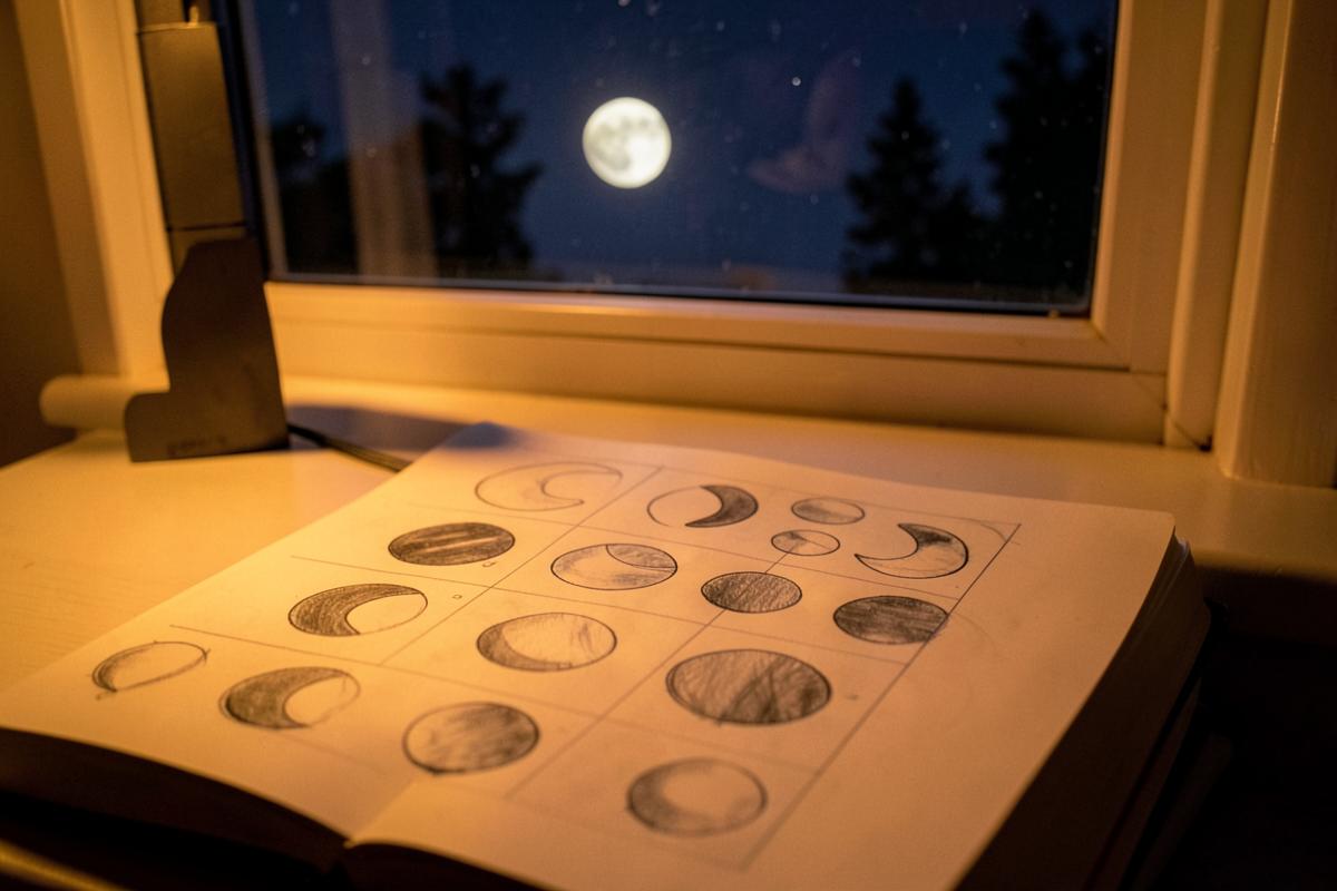 Moon diary for a month